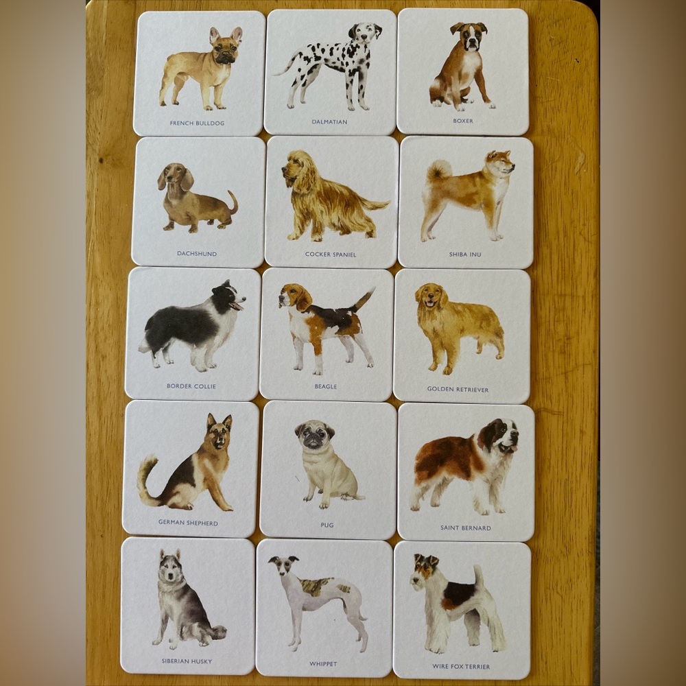 Laurence King Dog Coasters. Set of 16. New in Box